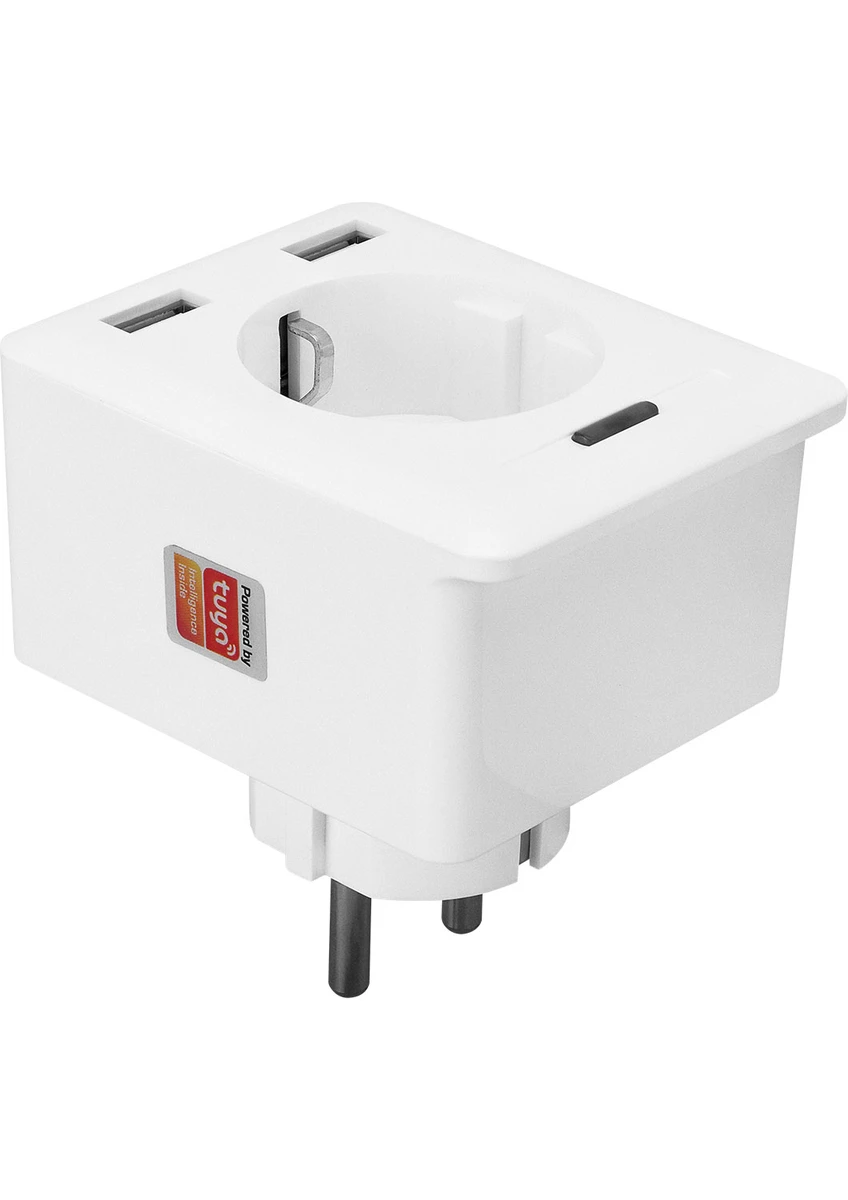 S-Link Swapp SL-04 10A Akım Korumalı Akıllı Priz Wifi TUYA Destekli